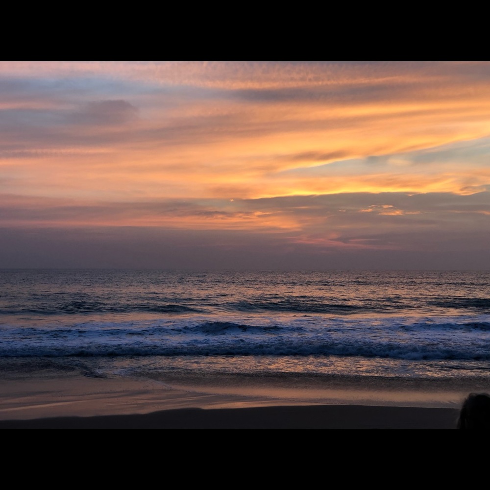 Meet your Posher, Logan